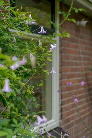 Medium property photo - Van Echtenswijk 10, 7916 TD Elim